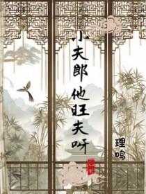 小夫郎他旺夫呀/首辅家的温软小夫郎